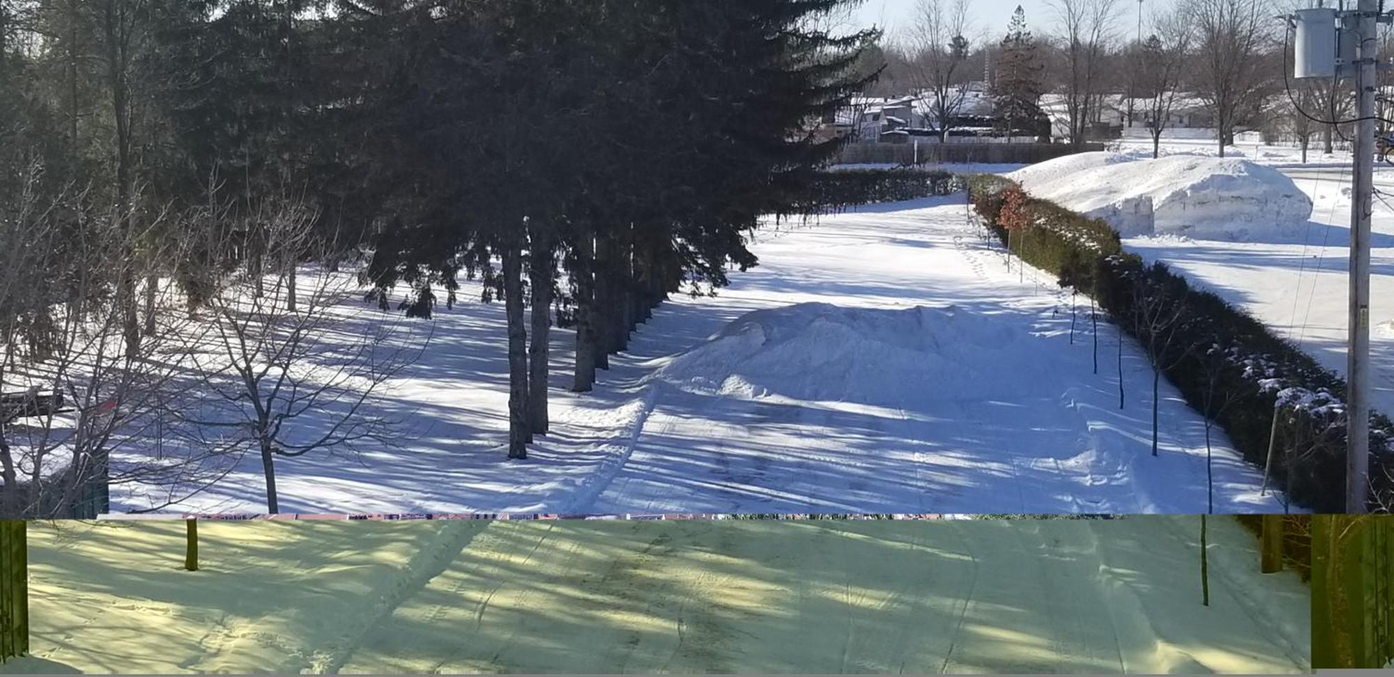 Maisonnette Dans La Nature En Pleine Ville. Trois-Rivières Extérieur photo